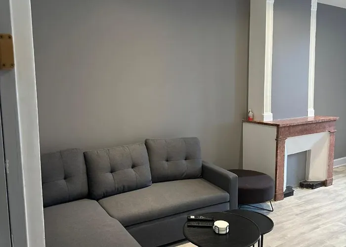 Cosy Spacieux Appart Au Centre Ville